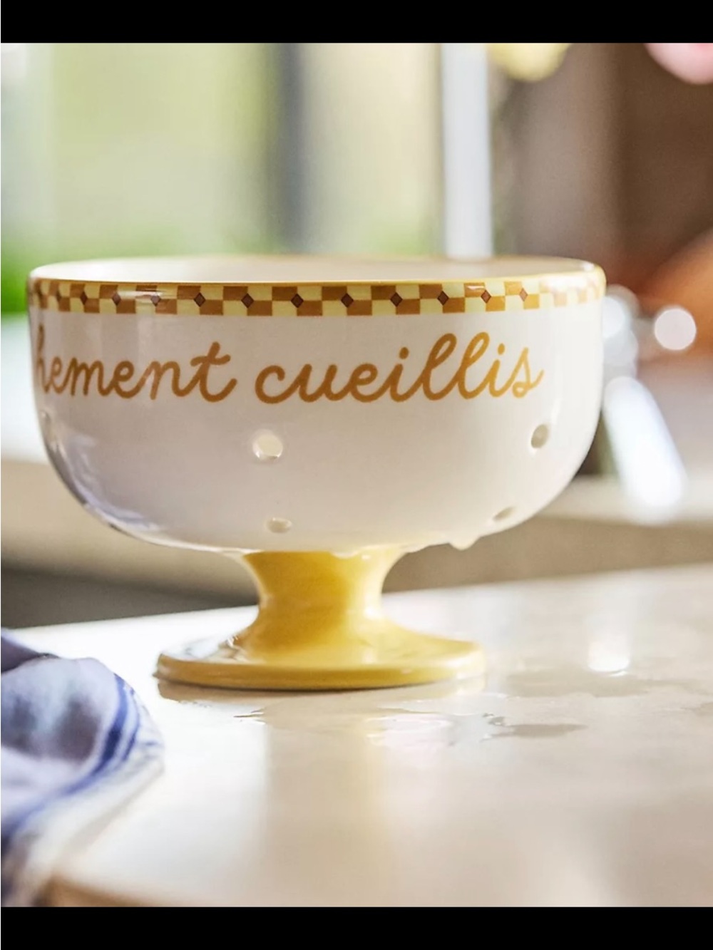 Anthropologie Cafe’ Violette Berry Basket.